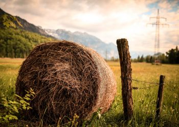 Hosszú hétvégék Magyarországon – ismerd meg hazánk idegenforgalmi régióit!